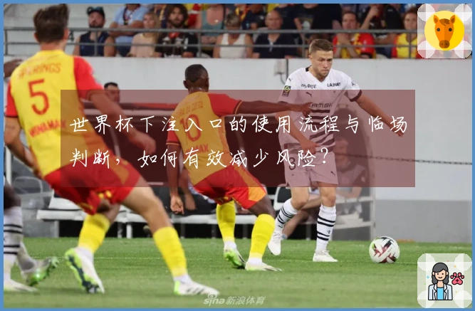 世界杯下注入口的使用流程与临场判断，如何有效减少风险？