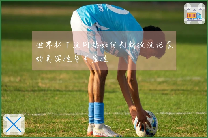 世界杯下注网站如何判断投注记录的真实性与可靠性