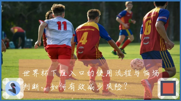 世界杯下注入口的使用流程与临场判断，如何有效减少风险？
