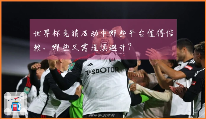 世界杯竞猜活动中哪些平台值得信赖，哪些又需谨慎避开？