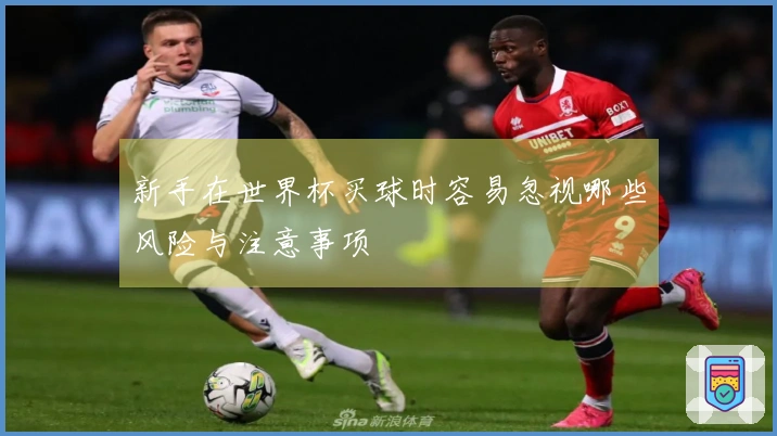 新手在世界杯买球时容易忽视哪些风险与注意事项