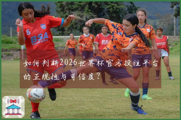 如何判断2026世界杯官方投注平台的正规性与可信度？