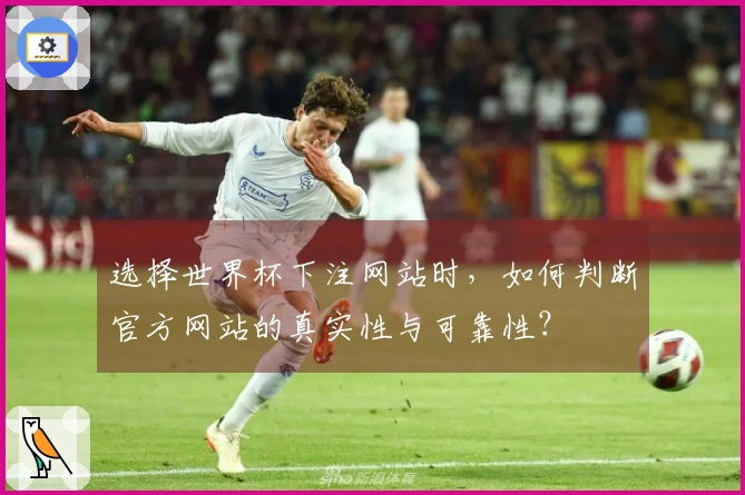 选择世界杯下注网站时，如何判断官方网站的真实性与可靠性？