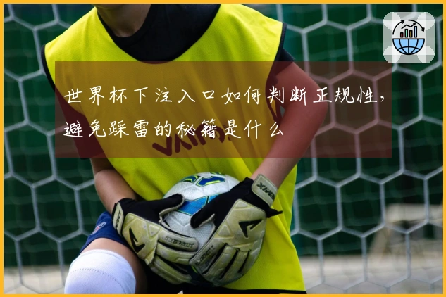 世界杯下注入口如何判断正规性,避免踩雷的秘籍是什么
