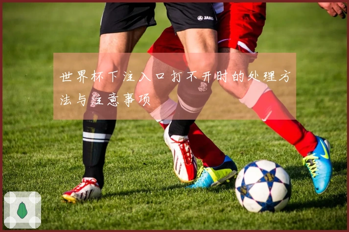 世界杯下注入口打不开时的处理方法与注意事项