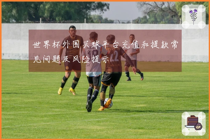 世界杯外围买球平台充值和提款常见问题及风险提示