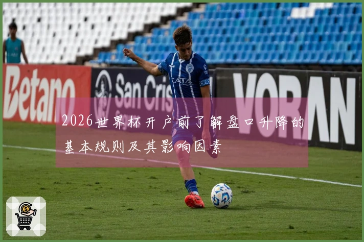 2026世界杯开户前了解盘口升降的基本规则及其影响因素