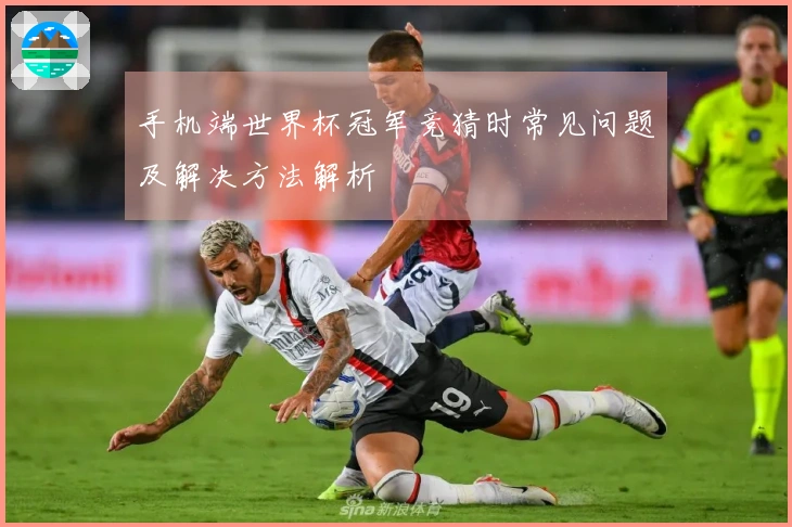 手机端世界杯冠军竞猜时常见问题及解决方法解析