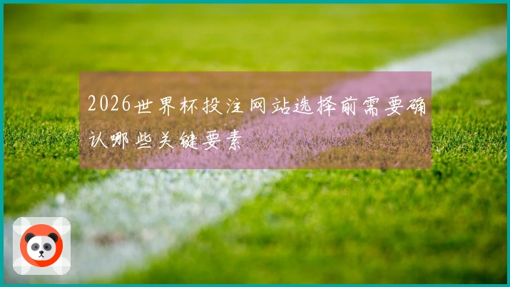 2026世界杯投注网站选择前需要确认哪些关键要素