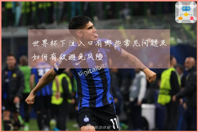 世界杯下注入口有哪些常见问题及如何有效避免风险