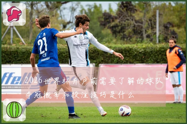 2026世界杯开户前需要了解的球队夺冠概率和投注技巧是什么