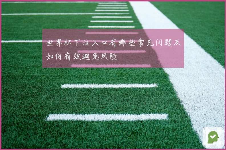 世界杯下注入口有哪些常见问题及如何有效避免风险
