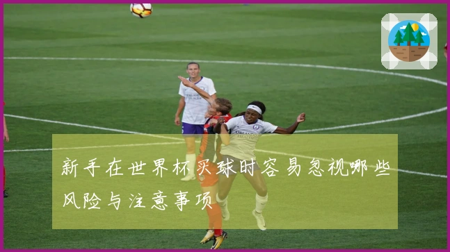 新手在世界杯买球时容易忽视哪些风险与注意事项