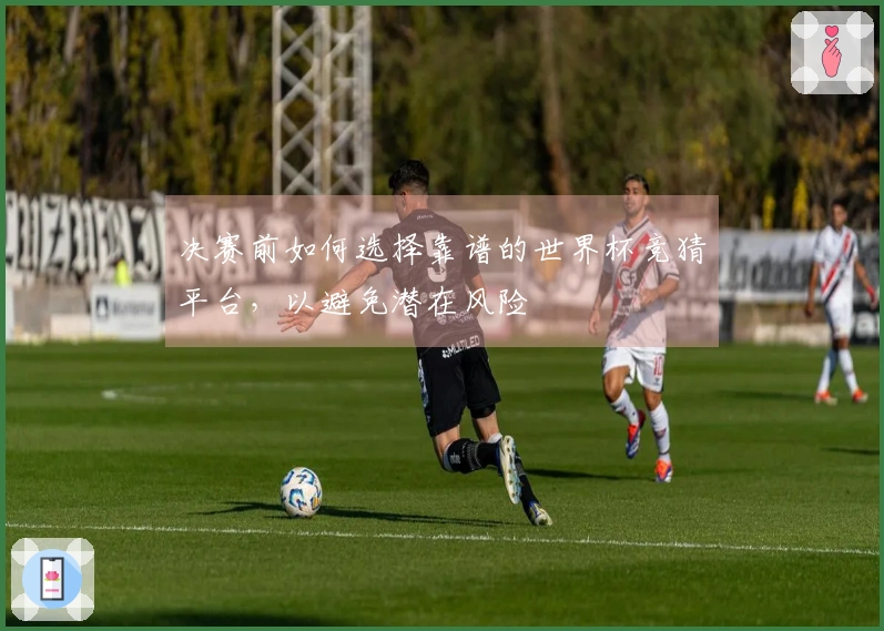 决赛前如何选择靠谱的世界杯竞猜平台，以避免潜在风险
