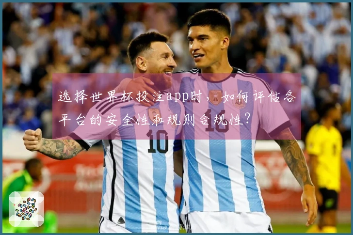 选择世界杯投注app时，如何评估各平台的安全性和规则合规性？