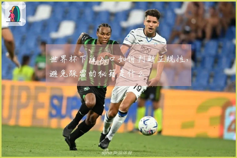 世界杯下注入口如何判断正规性，避免踩雷的秘籍是什么