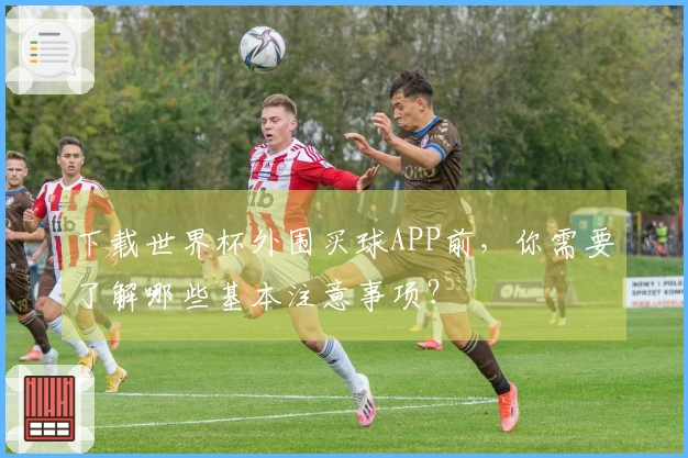 下载世界杯外围买球APP前，你需要了解哪些基本注意事项？