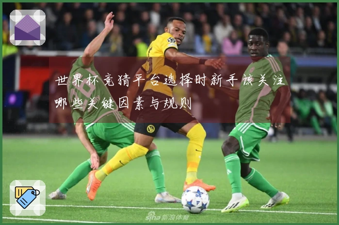 世界杯竞猜平台选择时新手该关注哪些关键因素与规则