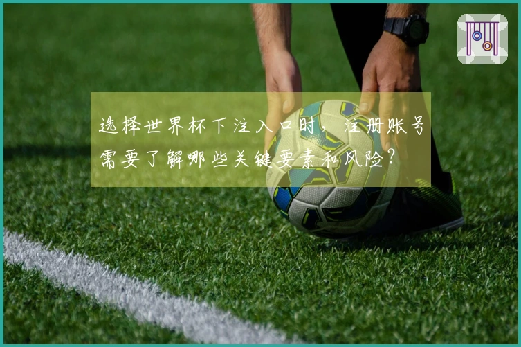 选择世界杯下注入口时，注册账号需要了解哪些关键要素和风险？