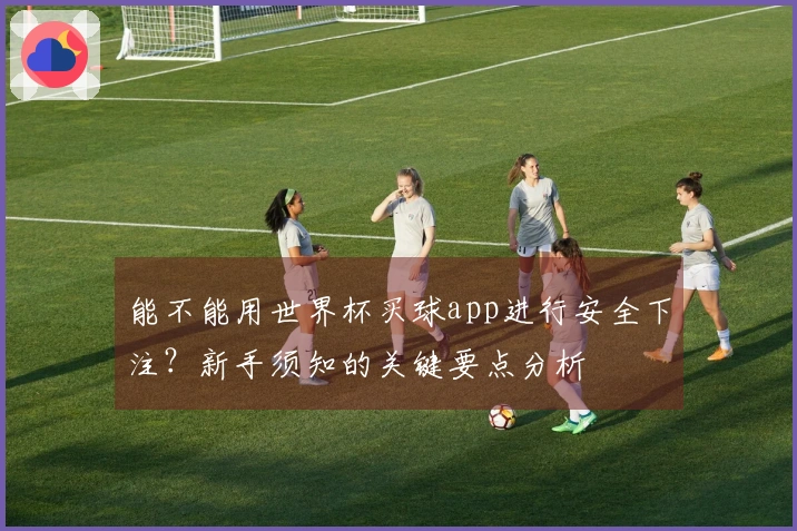 能不能用世界杯买球app进行安全下注？新手须知的关键要点分析