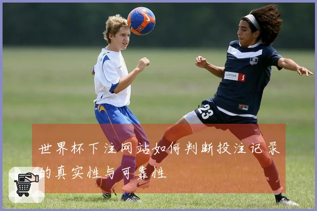 世界杯下注网站如何判断投注记录的真实性与可靠性