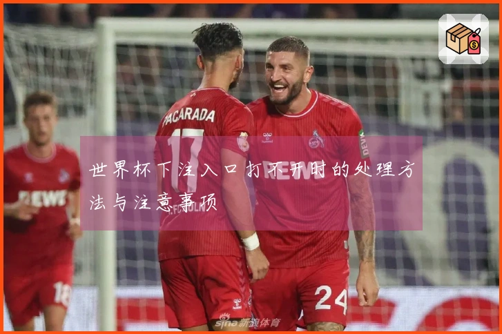 世界杯下注入口打不开时的处理方法与注意事项